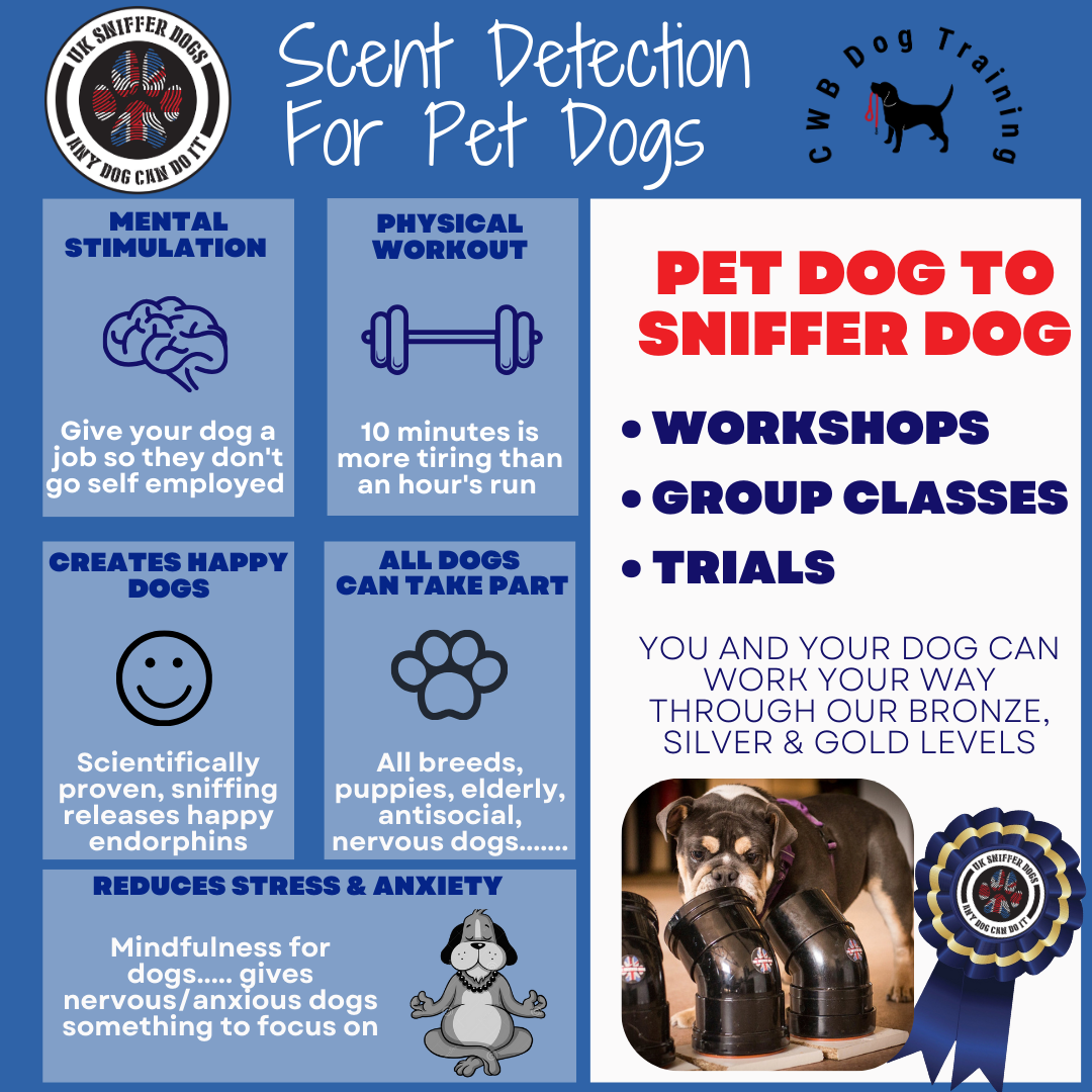 CWB Dog Training and Scent Detection Classes